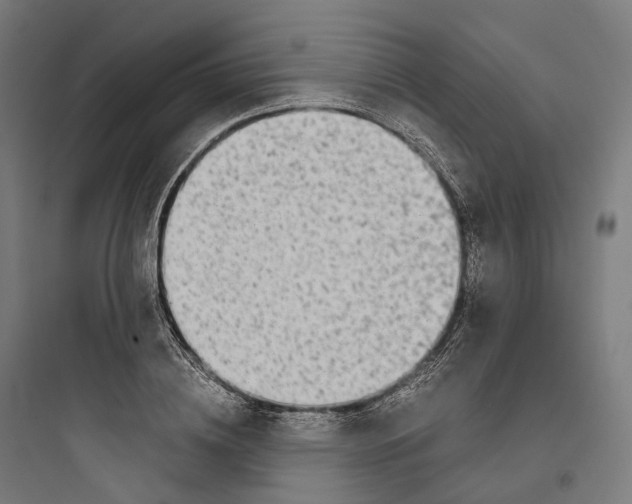 X0000093770836200711061132