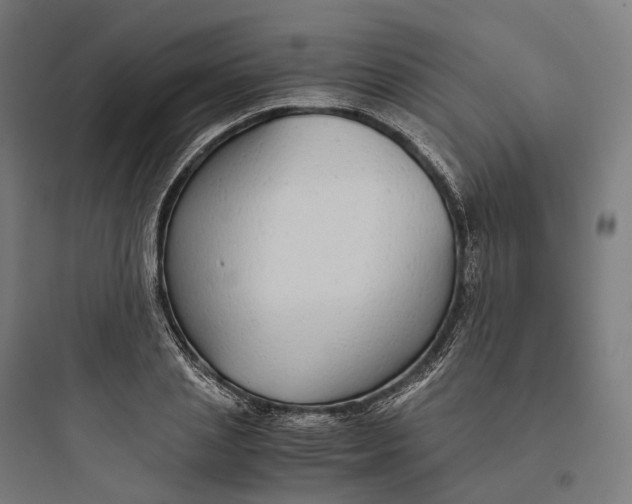 X0000093770837200711061132