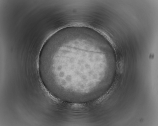 X0000093770839200711061132