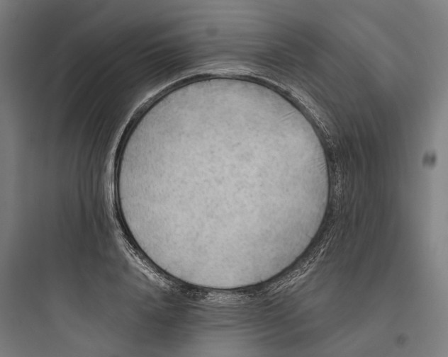 X0000093770840200711061132