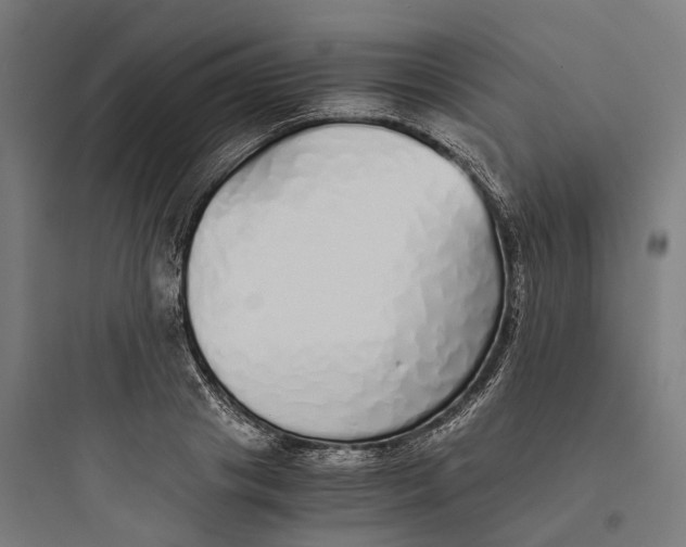 X0000093770841200711061132