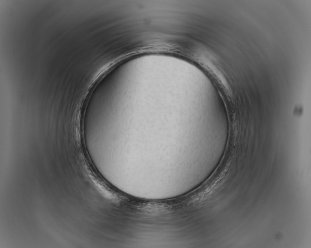 X0000093770842200711061132