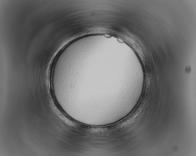 X0000093770843200711061132