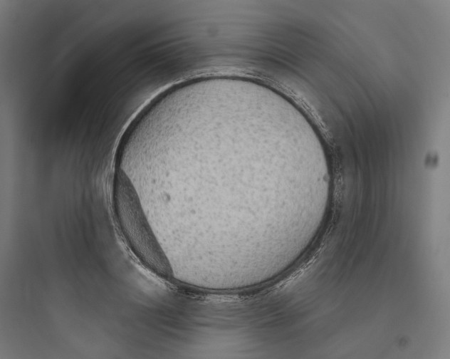 X0000093770844200711061132