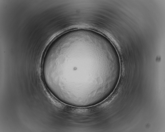 X0000093770845200711061132