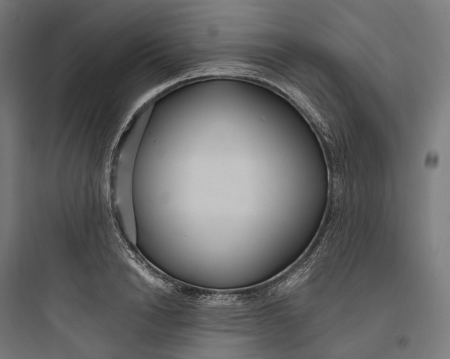 X0000093770846200711061132