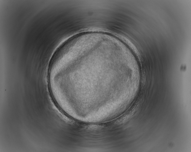 X0000093770847200711061132