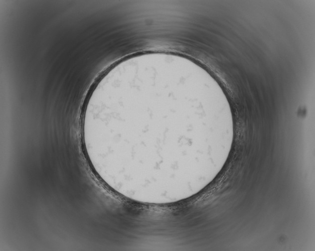 X0000093770848200711061133