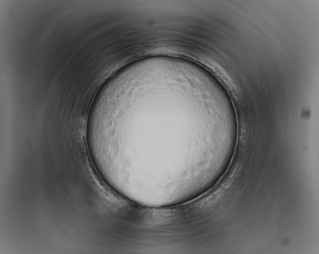 X0000093770849200711061133