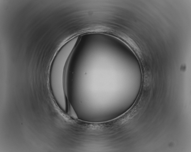 X0000093770850200711061133