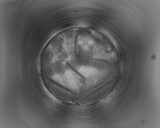 X0000093770851200711061133