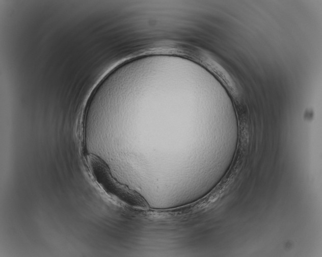 X0000093770852200711061133