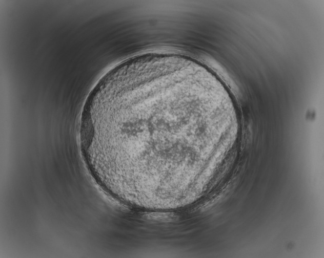 X0000093770853200711061133