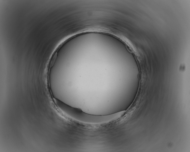 X0000093770854200711061133