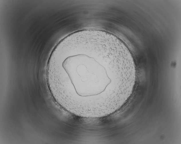 X0000093770856200711061133