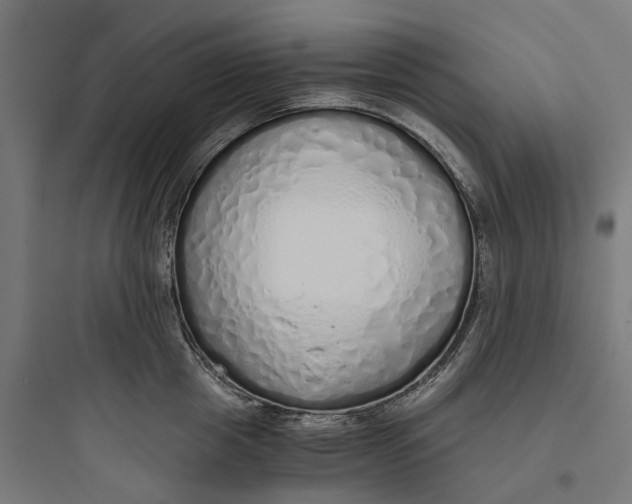 X0000093770857200711061133