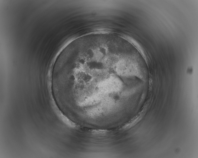 X0000093770859200711061133