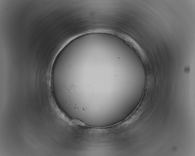 X0000093770860200711061133