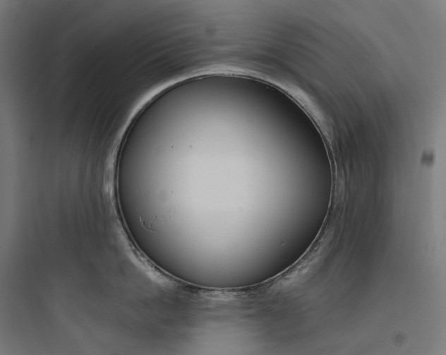 X0000093770862200711061133