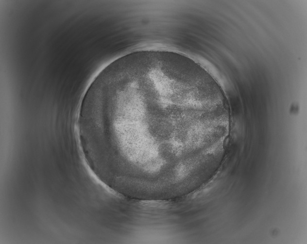 X0000093770863200711061133