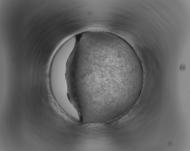 X0000093770864200711061133