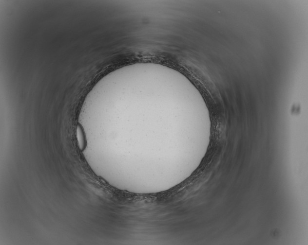 X0000093770865200711061132