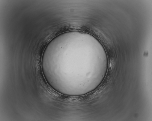 X0000093770867200711061132