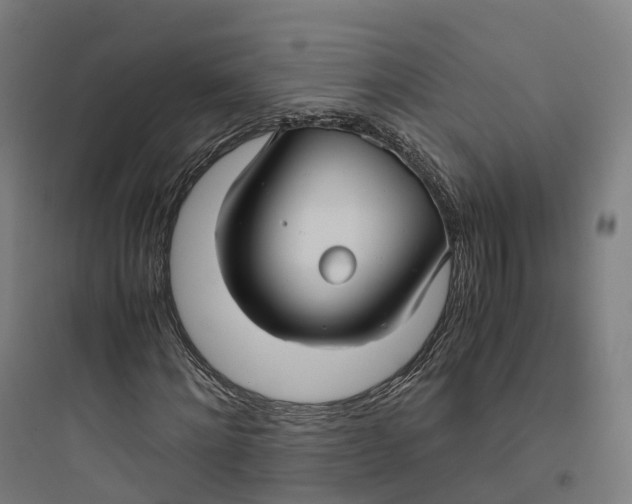 X0000093770868200711061132