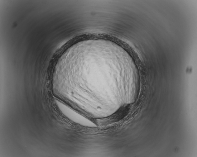 X0000093770871200711061132