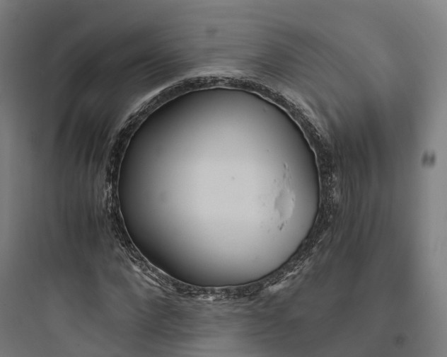 X0000093770872200711061132