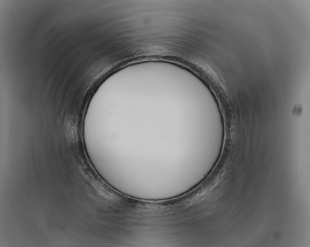 X0000093770873200711061132