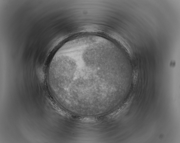 X0000093770874200711061132