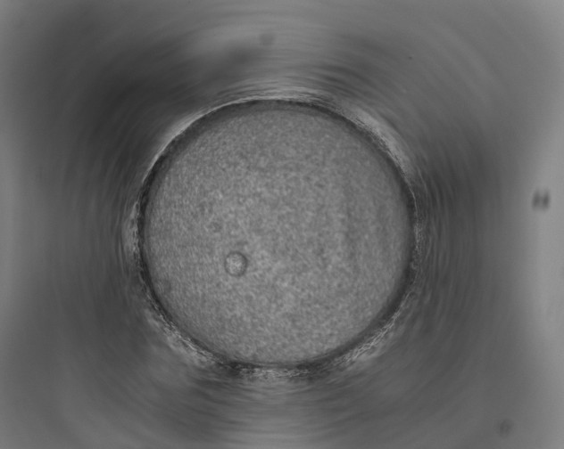 X0000093770875200711061132