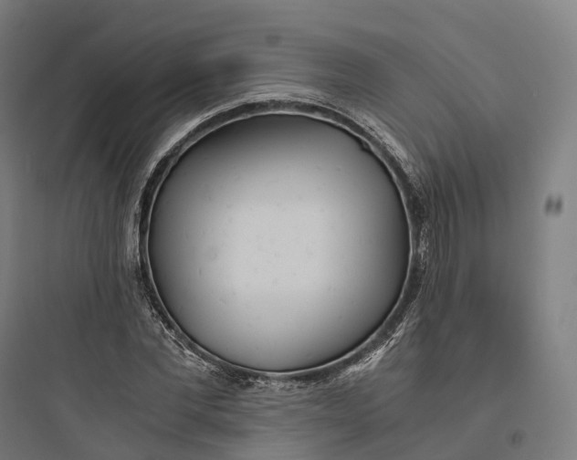 X0000093770877200711061132