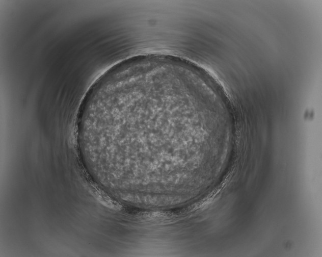 X0000093770879200711061132