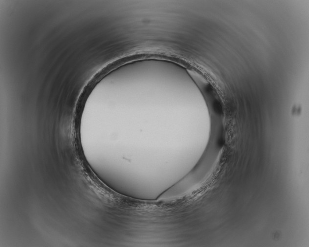 X0000093770880200711061132