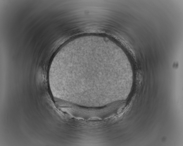 X0000093770881200711061132