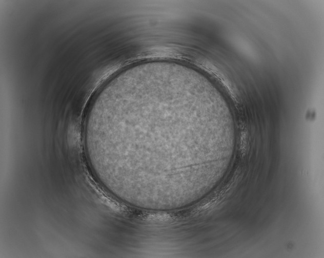 X0000093770882200711061132