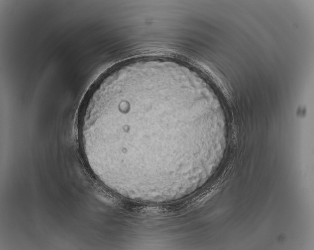 X0000093770883200711061132