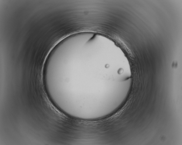 X0000093770884200711061132