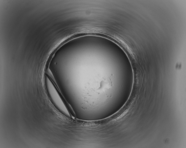 X0000093770885200711061132