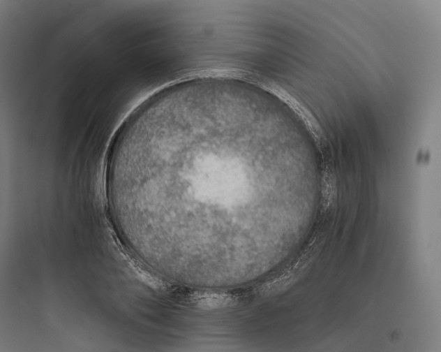 X0000093770886200711061132