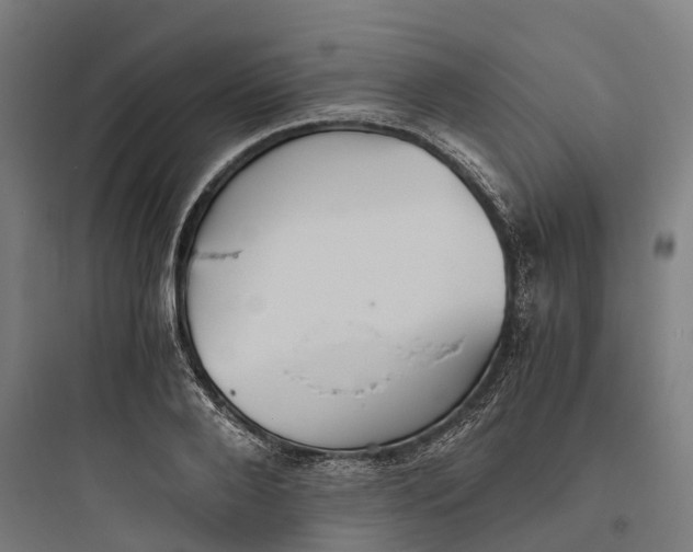 X0000093770888200711061132