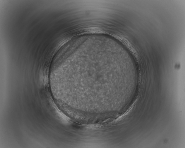 X0000093770889200711061132