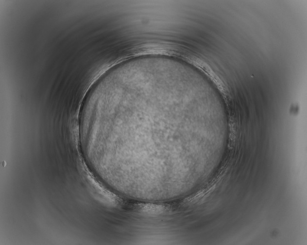 X0000093770890200711061132