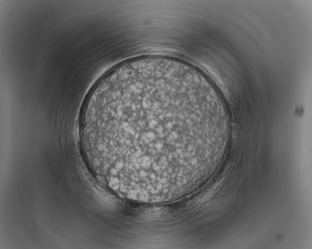 X0000093770891200711061132