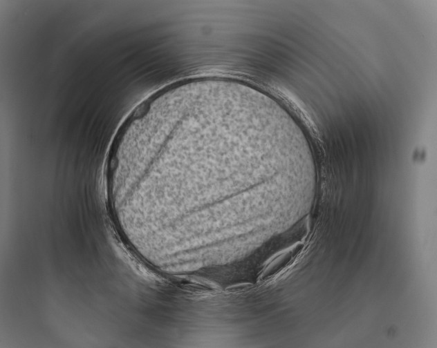 X0000093770892200711061132