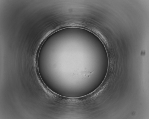 X0000093770893200711061132