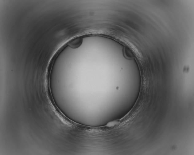 X0000093770894200711061131