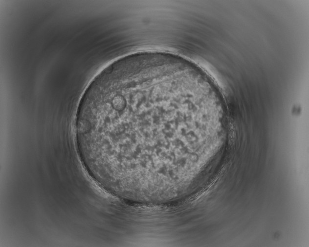 X0000093770895200711061131